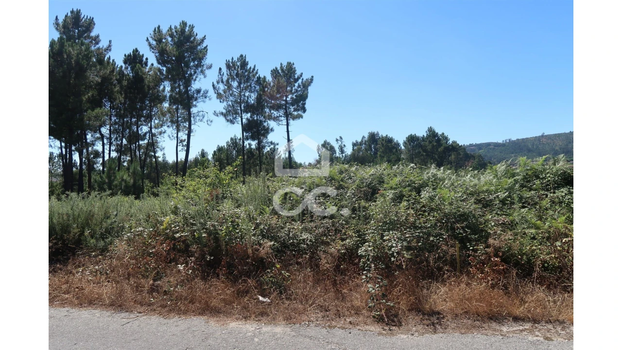 Terreno para Venda em Beire Foto 4