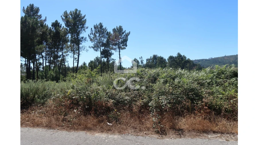 Terreno para Venda em Beire Foto 4