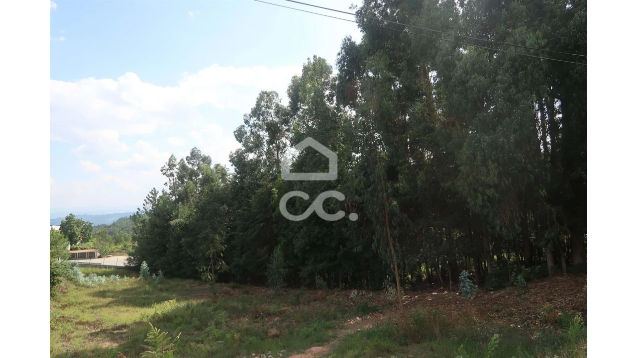 Terreno para Venda em Idães Foto 5