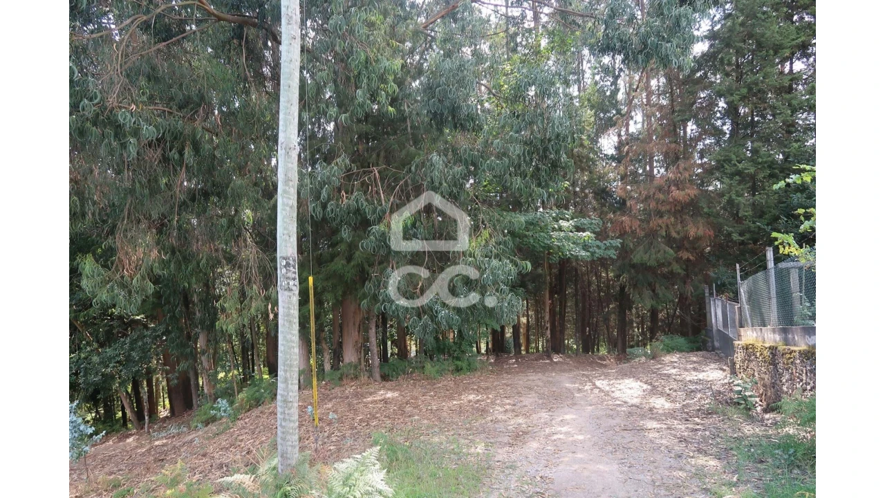 Terreno para Venda em Idães Foto 3