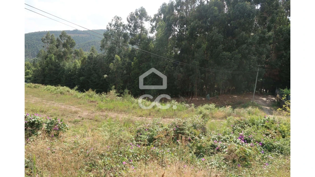 Terreno para Venda em Idães Foto 1