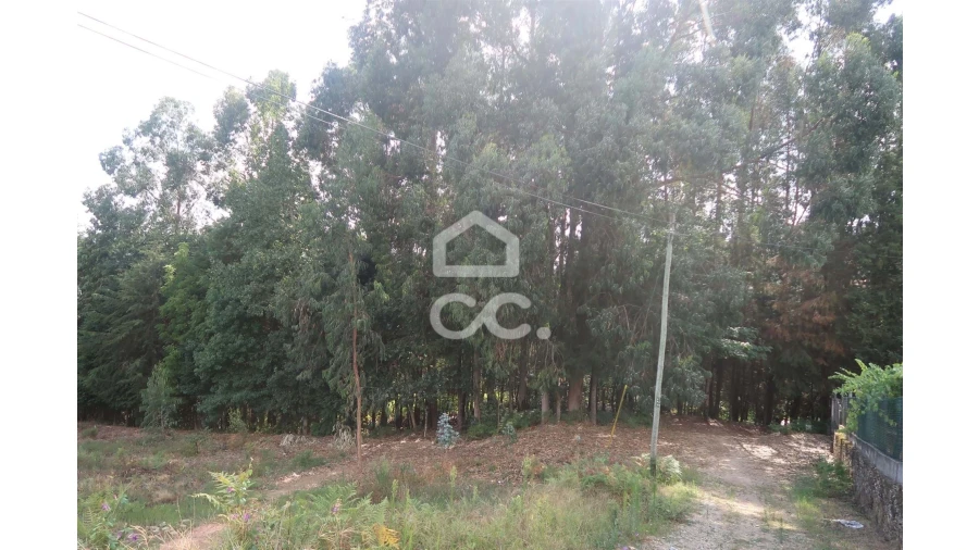 Terreno para Venda em Idães Foto 2