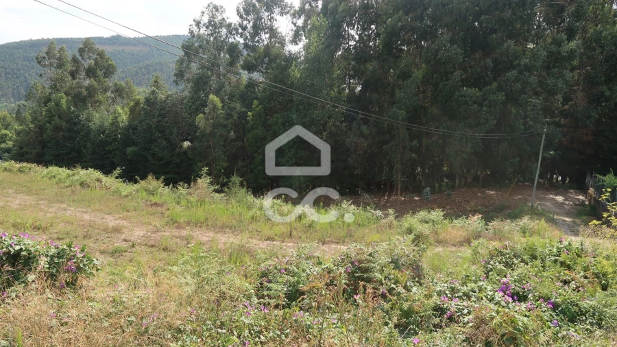 Terreno para Venda em Idães