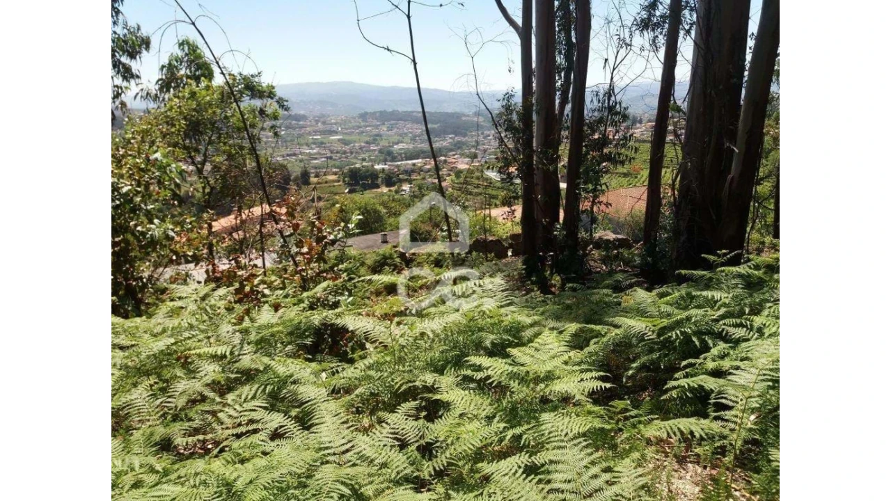 Terreno para Venda em Valpedre Foto 2