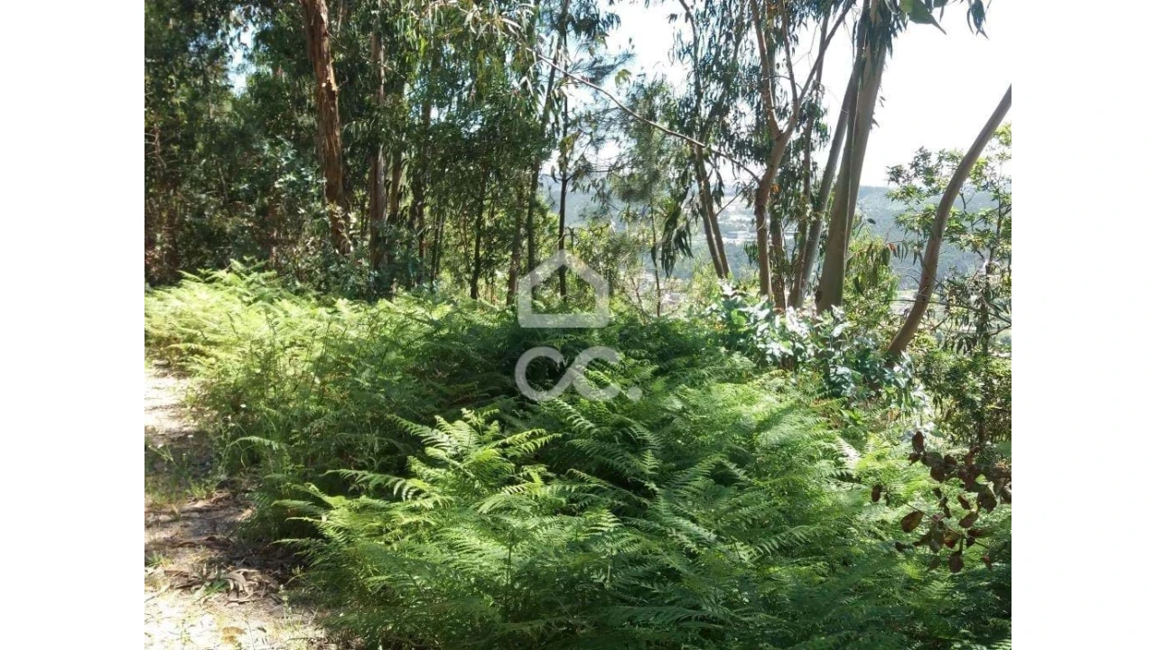 Terreno para Venda em Valpedre Foto 10
