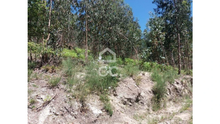 Terreno para Venda em Valpedre Foto 6