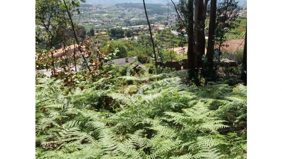 Terreno para Venda em Valpedre Foto 3