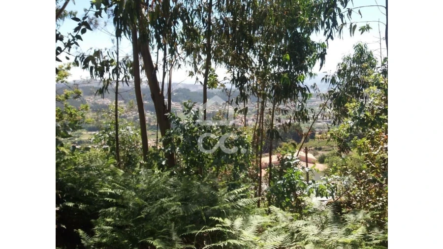 Terreno para Venda em Valpedre Foto 5