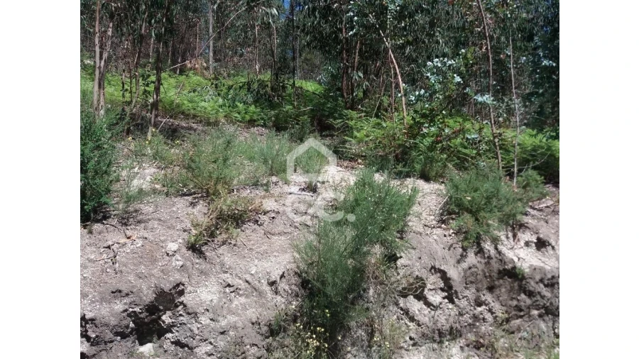 Terreno para Venda em Valpedre Foto 9