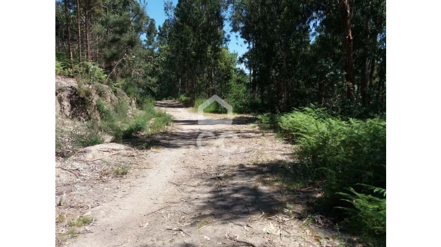 Terreno para Venda em Valpedre