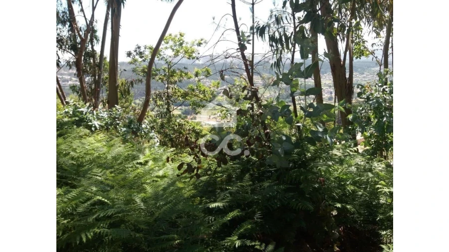 Terreno para Venda em Valpedre Foto 7