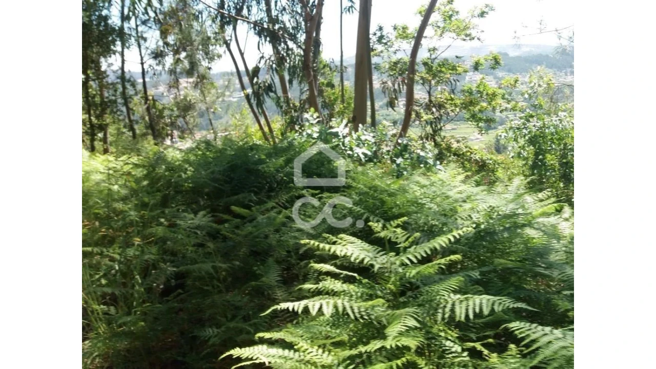 Terreno para Venda em Valpedre Foto 8