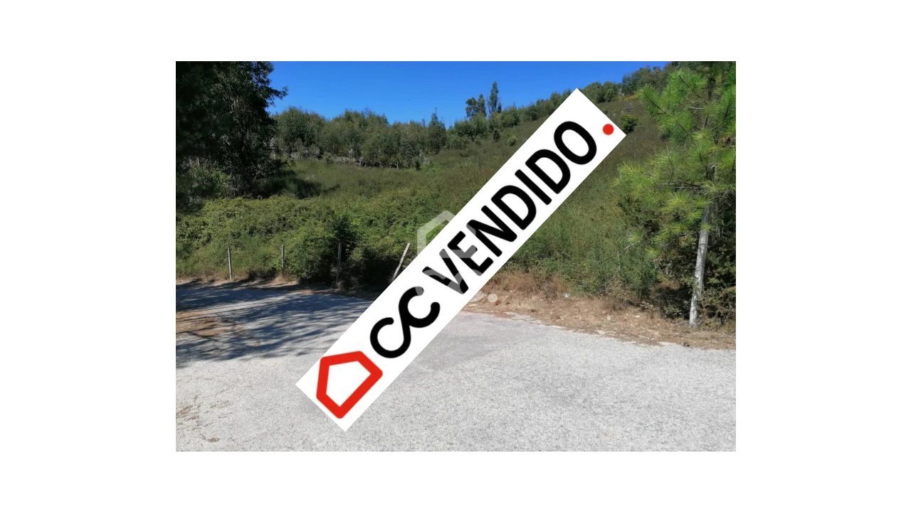 Terreno para Venda em Silvares, Pias, Nogueira e Alvarenga Foto 1