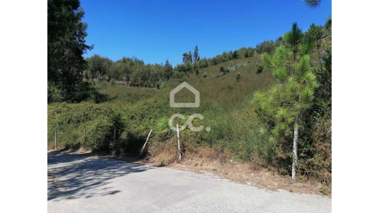 Terreno para Venda em Silvares, Pias, Nogueira e Alvarenga Foto 6
