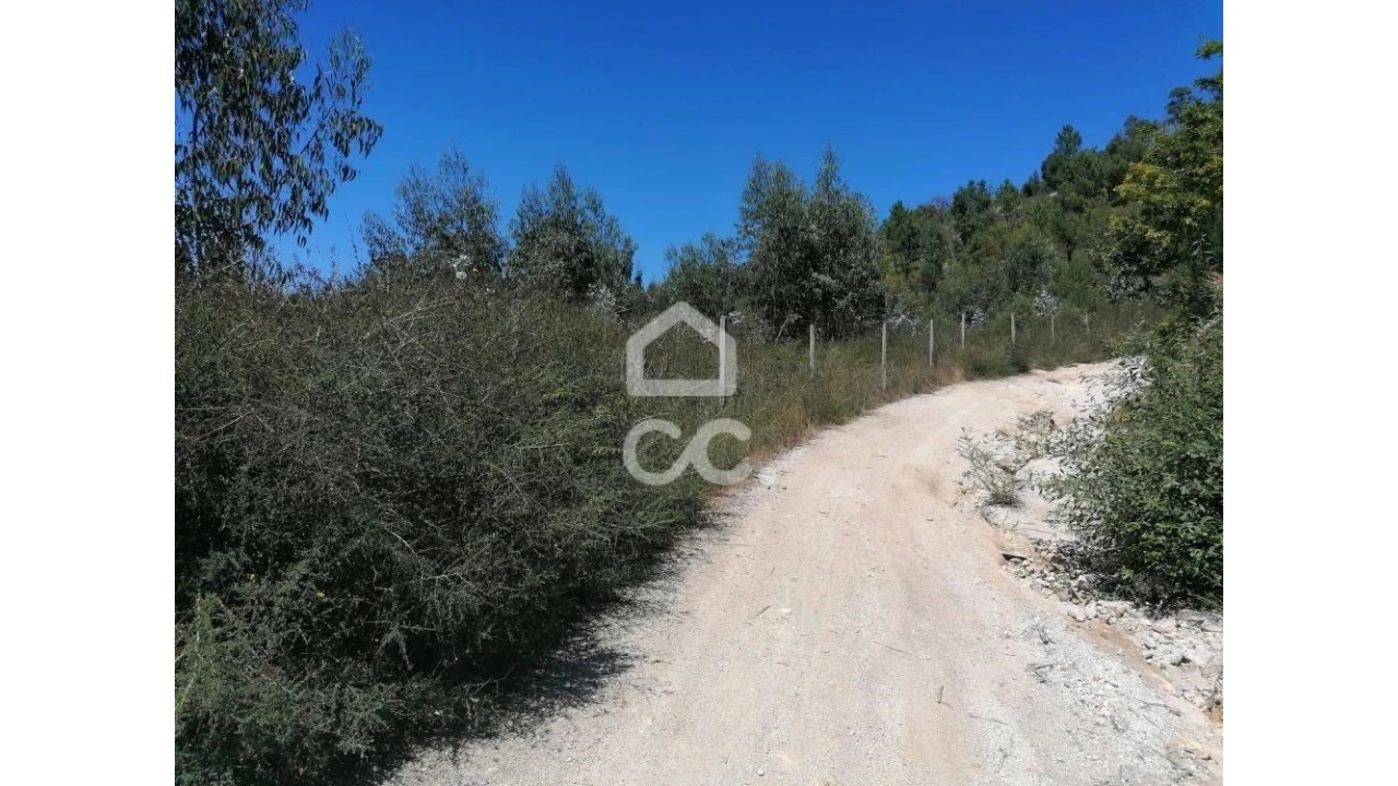Terreno para Venda em Silvares, Pias, Nogueira e Alvarenga Foto 3