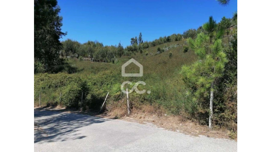 Terreno para Venda em Silvares, Pias, Nogueira e Alvarenga Foto 6
