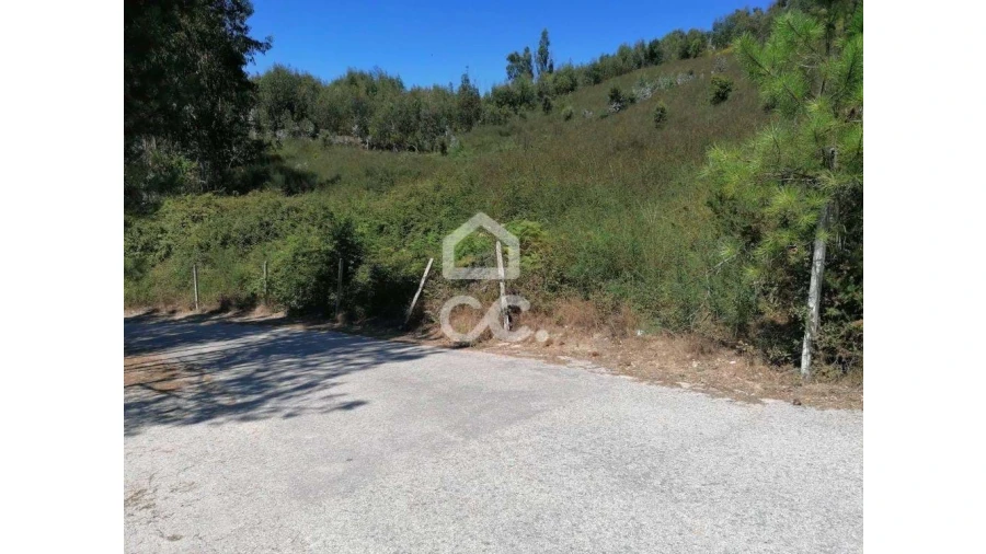 Terreno para Venda em Silvares, Pias, Nogueira e Alvarenga Foto 8