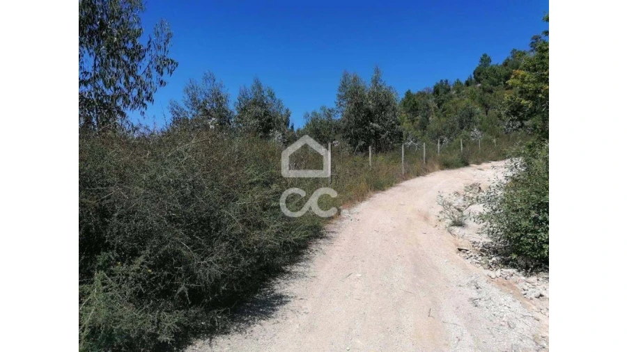 Terreno para Venda em Silvares, Pias, Nogueira e Alvarenga Foto 5