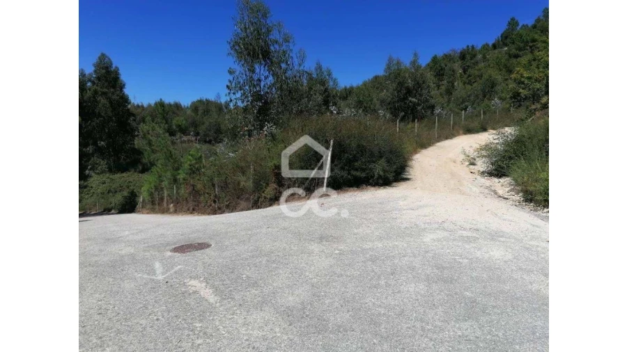 Terreno para Venda em Silvares, Pias, Nogueira e Alvarenga Foto 2