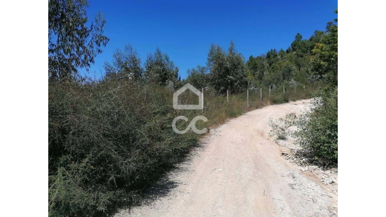 Terreno para Venda em Silvares, Pias, Nogueira e Alvarenga Foto 5