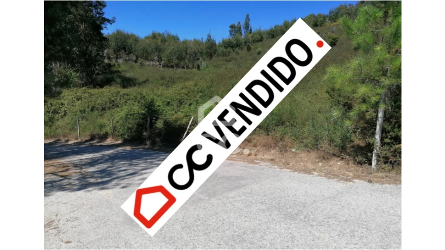 Terreno para Venda em Silvares, Pias, Nogueira e Alvarenga Foto 1