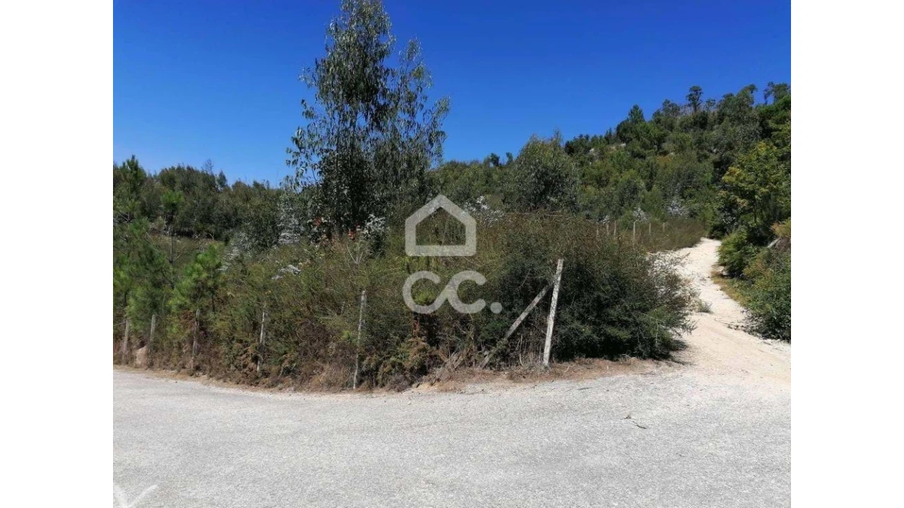 Terreno para Venda em Silvares, Pias, Nogueira e Alvarenga Foto 3