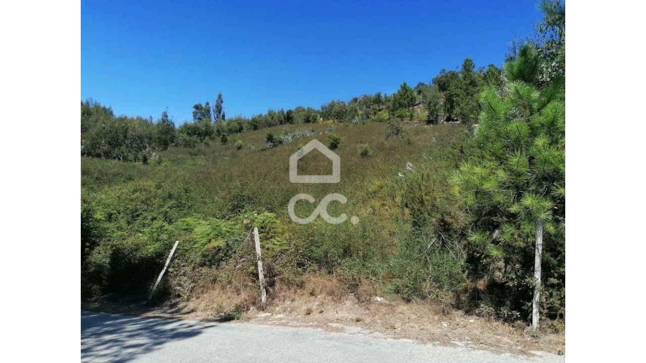 Terreno para Venda em Silvares, Pias, Nogueira e Alvarenga Foto 6
