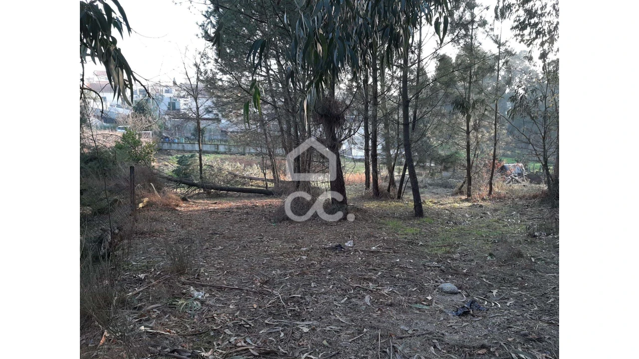 Terreno para Venda em Guilhufe e Urrô Foto 5