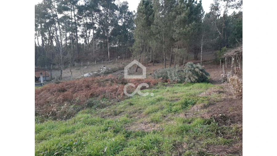 Terreno para Venda em Guilhufe e Urrô Foto 7
