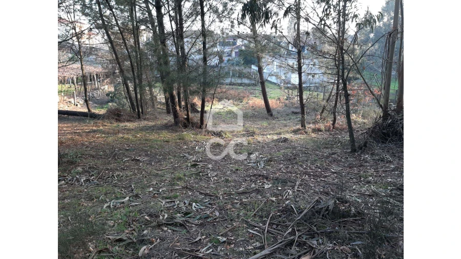 Terreno para Venda em Guilhufe e Urrô Foto 4