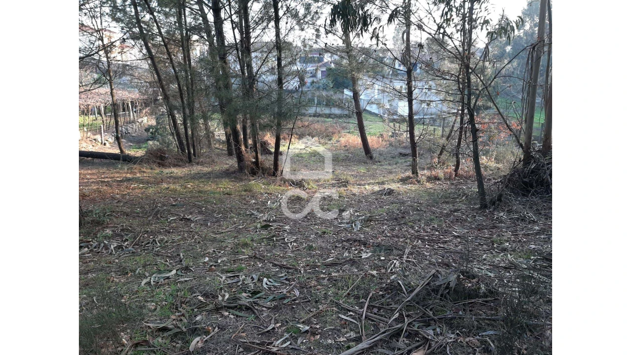 Terreno para Venda em Guilhufe e Urrô Foto 4