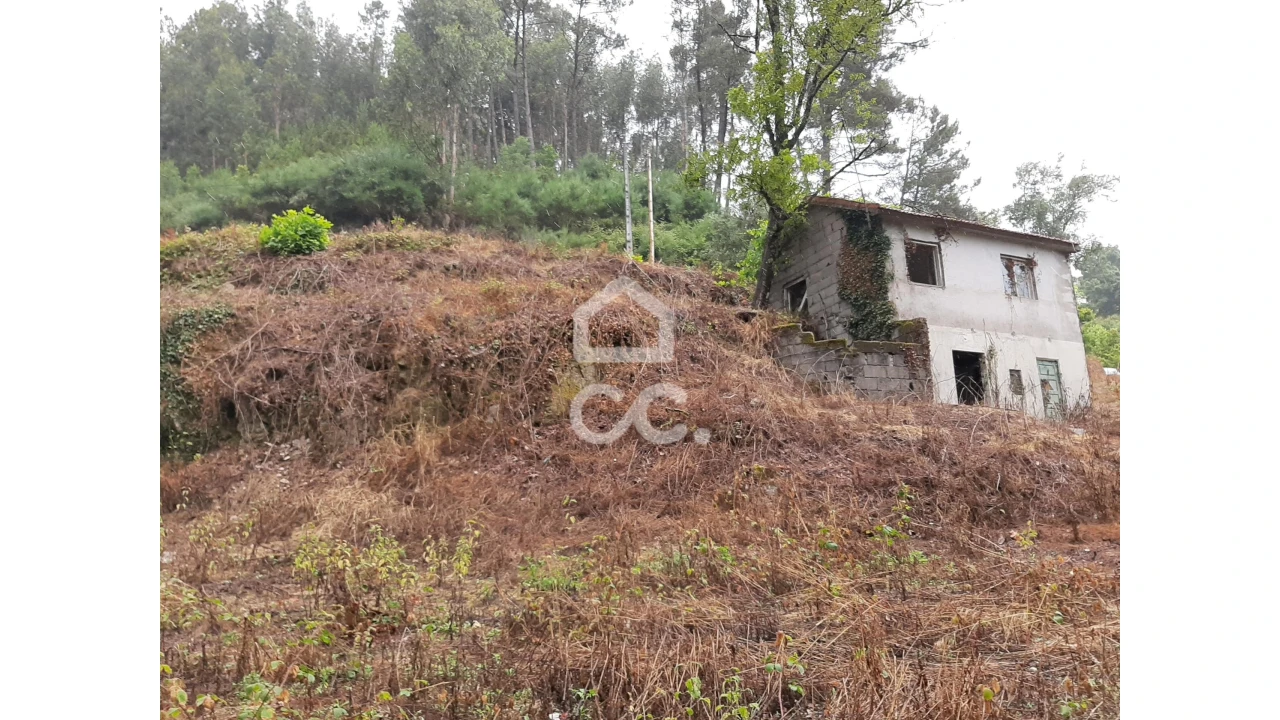 Terreno para Venda em Basto (São Clemente) Foto 4
