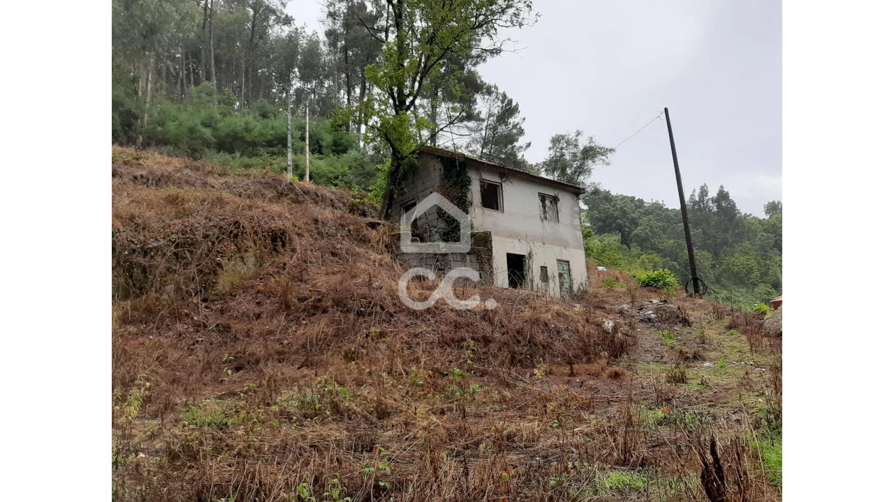 Terreno para Venda em Basto (São Clemente) Foto 3