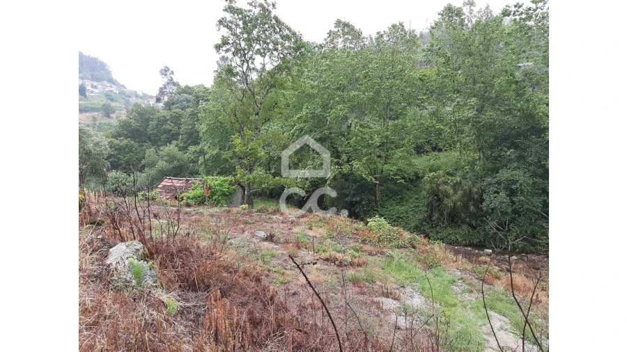 Terreno para Venda em Basto (São Clemente) Foto 11