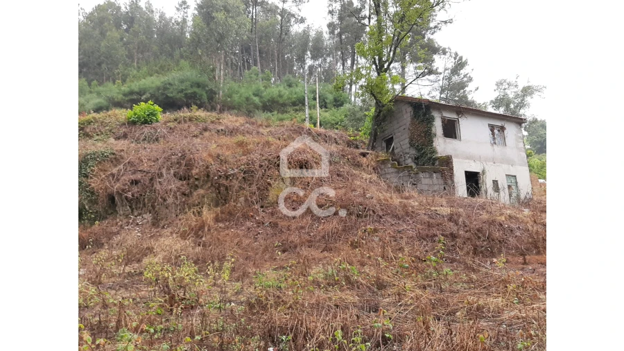 Terreno para Venda em Basto (São Clemente) Foto 4