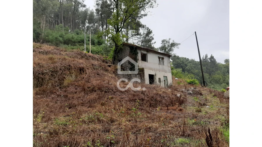 Terreno para Venda em Basto (São Clemente) Foto 3