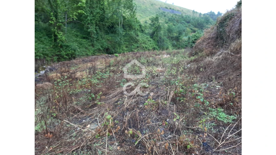 Terreno para Venda em Basto (São Clemente) Foto 1