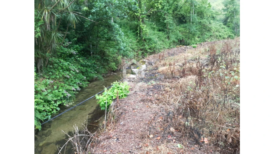Terreno para Venda em Basto (São Clemente) Foto 2