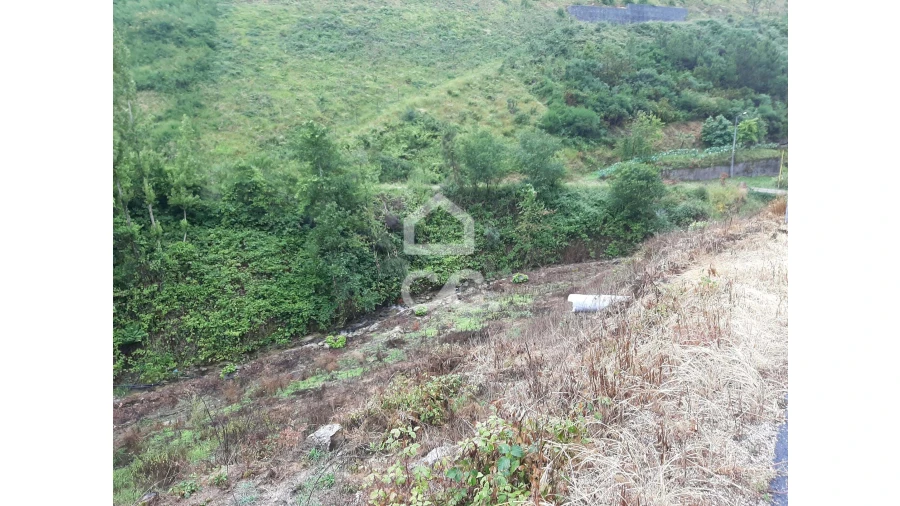 Terreno para Venda em Basto (São Clemente) Foto 12