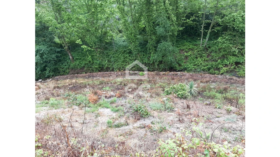 Terreno para Venda em Basto (São Clemente) Foto 14