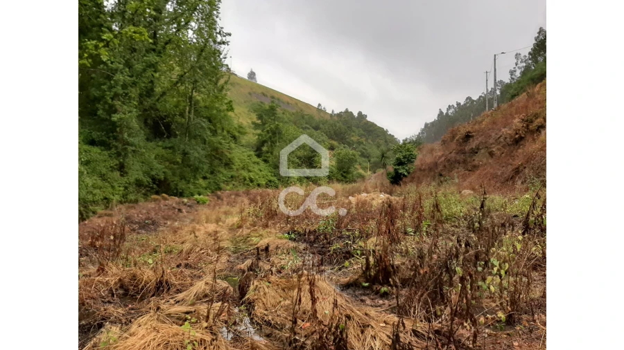 Terreno para Venda em Basto (São Clemente) Foto 7