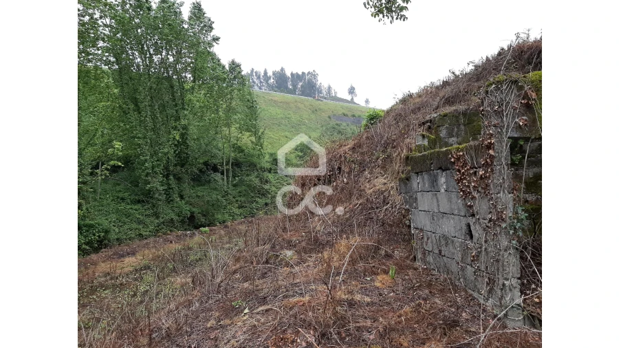 Terreno para Venda em Basto (São Clemente) Foto 5