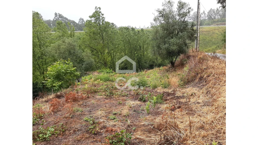 Terreno para Venda em Basto (São Clemente) Foto 9