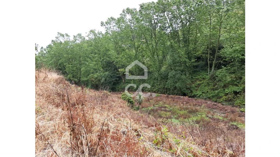 Terreno para Venda em Basto (São Clemente) Foto 13
