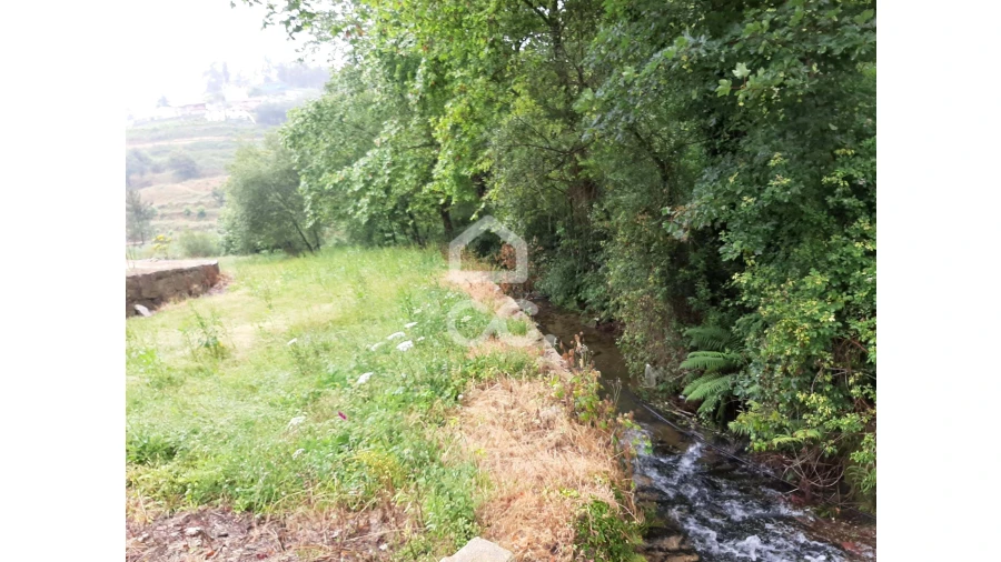 Terreno para Venda em Basto (São Clemente) Foto 6
