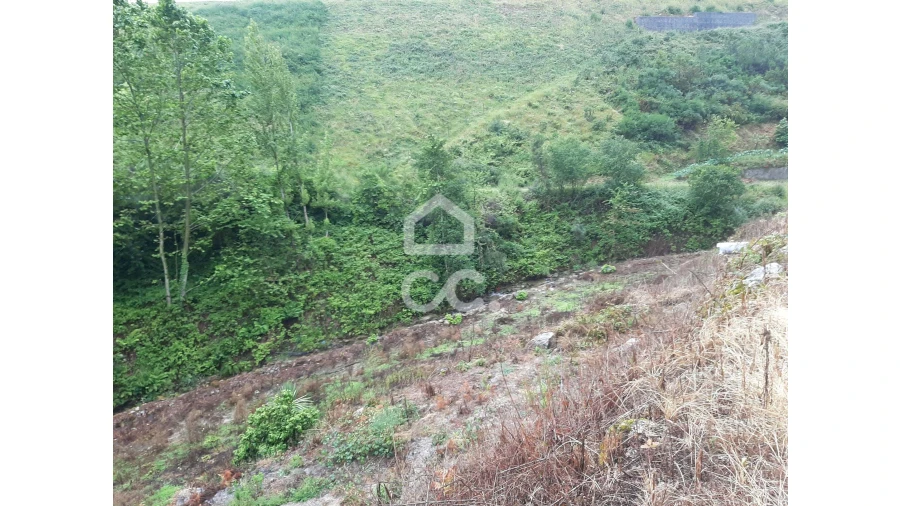 Terreno para Venda em Basto (São Clemente) Foto 10