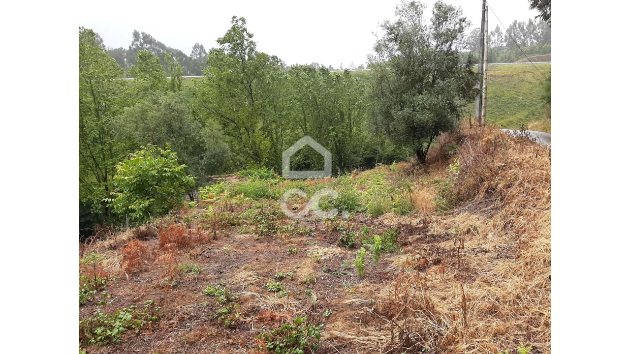 Terreno para Venda em Basto (São Clemente) Foto 9