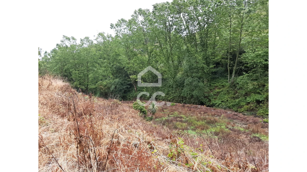 Terreno para Venda em Basto (São Clemente) Foto 13