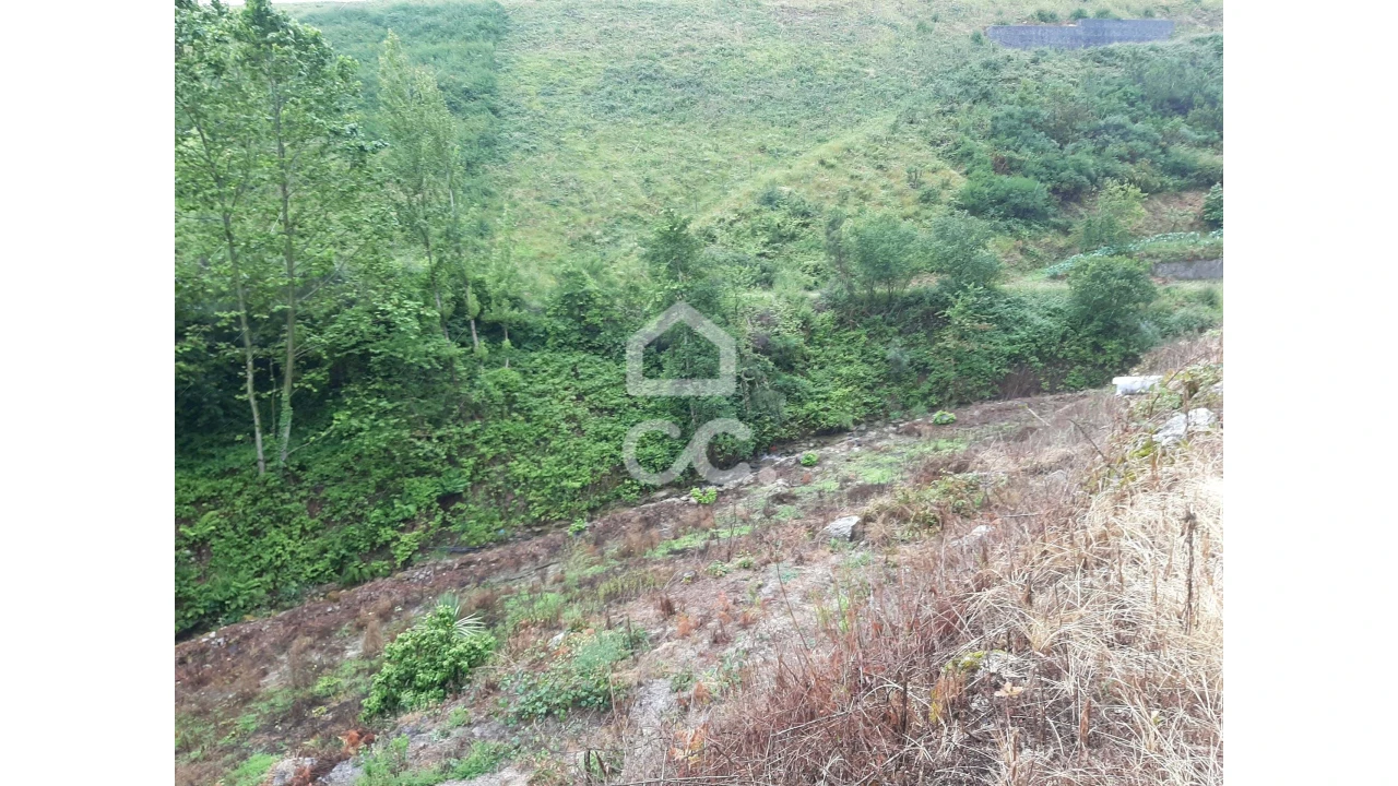 Terreno para Venda em Basto (São Clemente) Foto 10