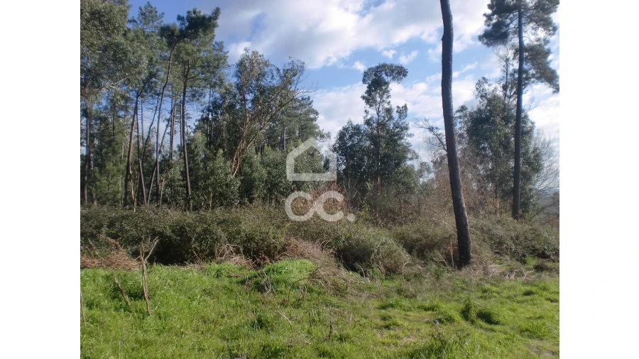 Terreno para Venda em Lodares Foto 4
